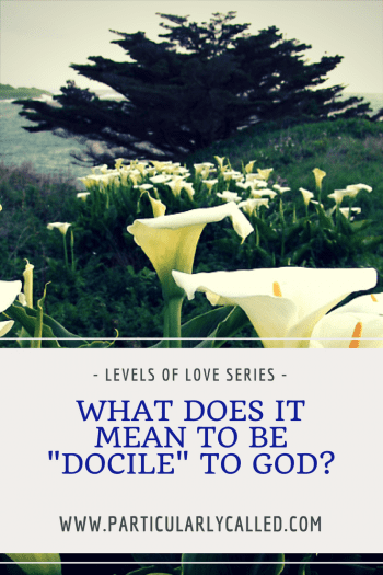 What does it mean to be “Docile” to God?