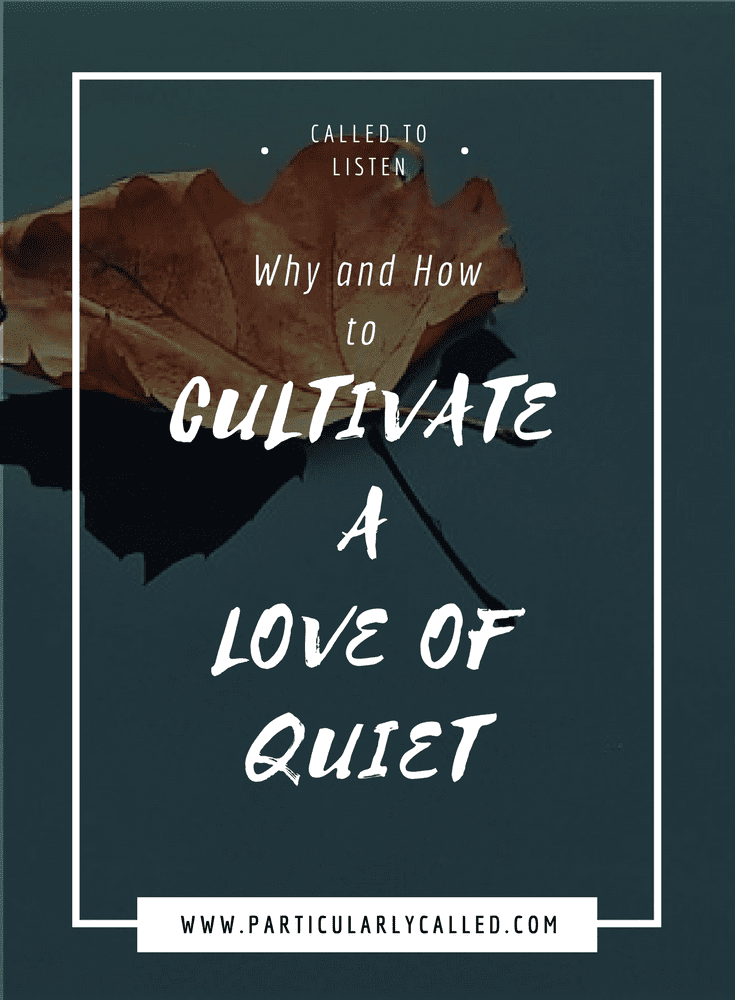 Called to Quiet Why and How to a Fear of Silence