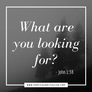 What are you looking for? Seek God