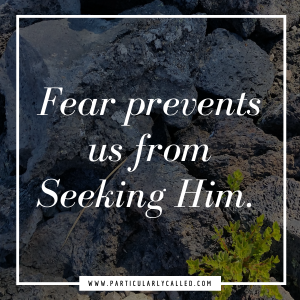 worry, seek him, find Him, Anxiety, Fear, courage, love casts out fear (3)