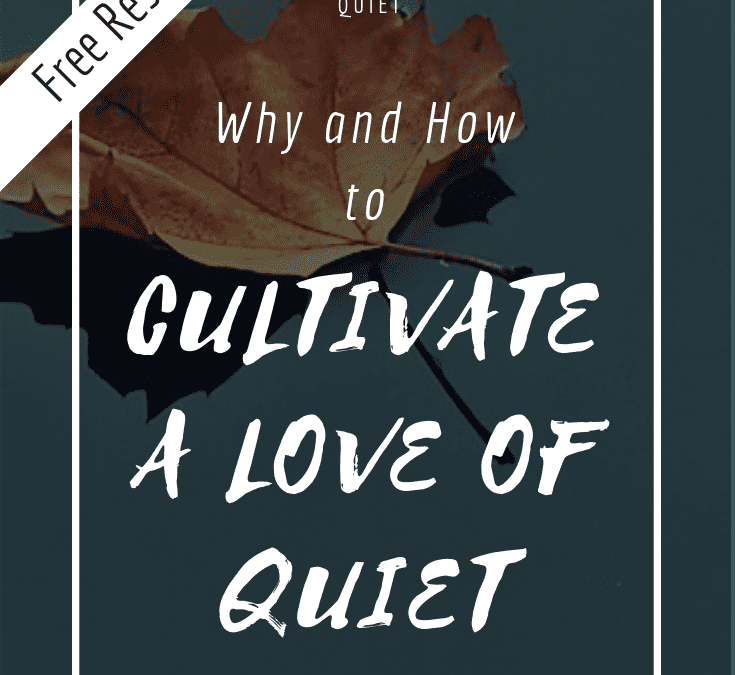 Called to Quiet – Why and How to Overcome a Fear of Silence