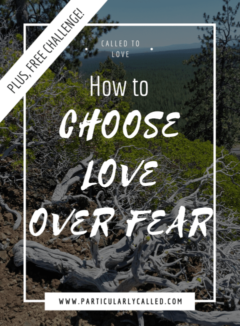 In The Grip Of Fear How To Find Courage Particularlycalled