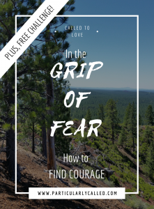fear, courage, holy spirit