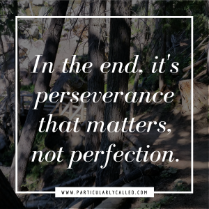 perseverance not perfection