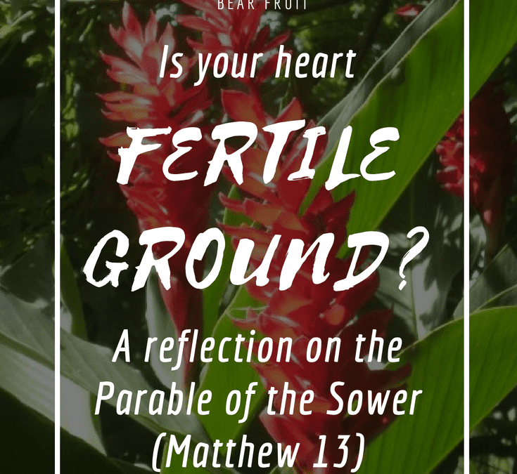 fertile ground, parable of the sower