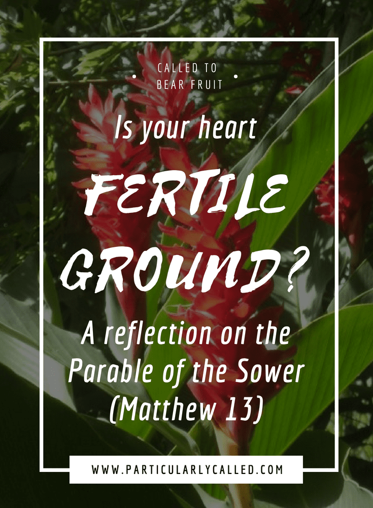 Is your Heart Fertile Ground? Reflection on the Parable of the Sower (Matthew 13)