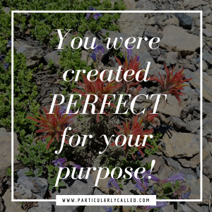 perfect for your purpose _ #christianidentity _ #identitycrisis _ #hope