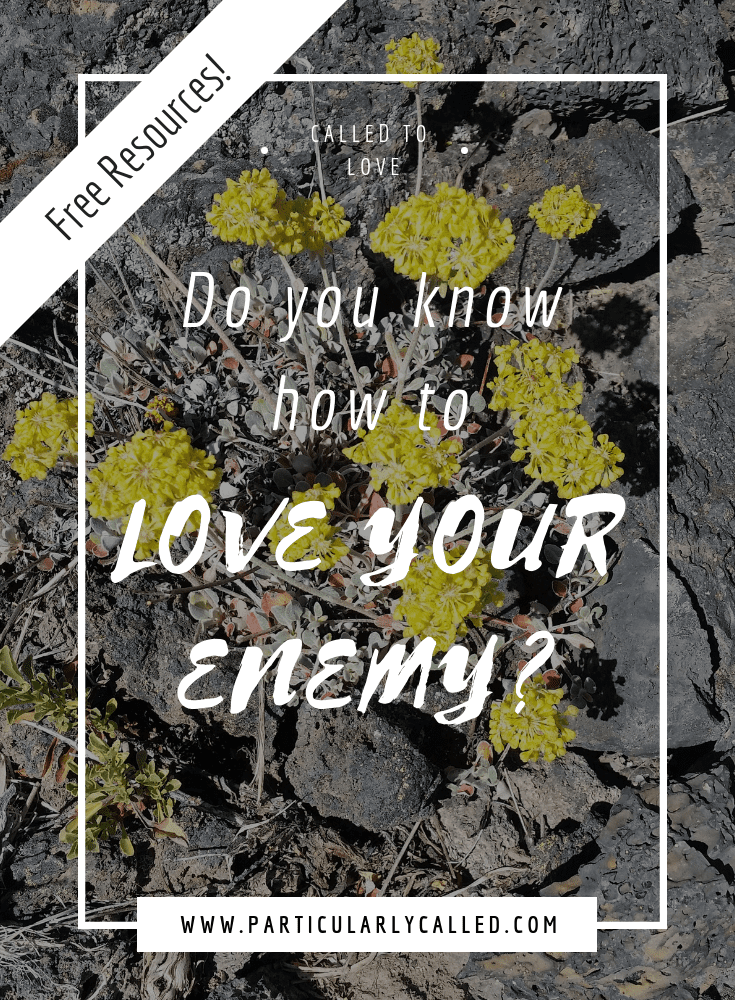 Do you Know How to Love your Enemies?