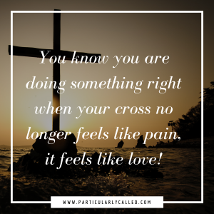 Embrace your Cross Quotes