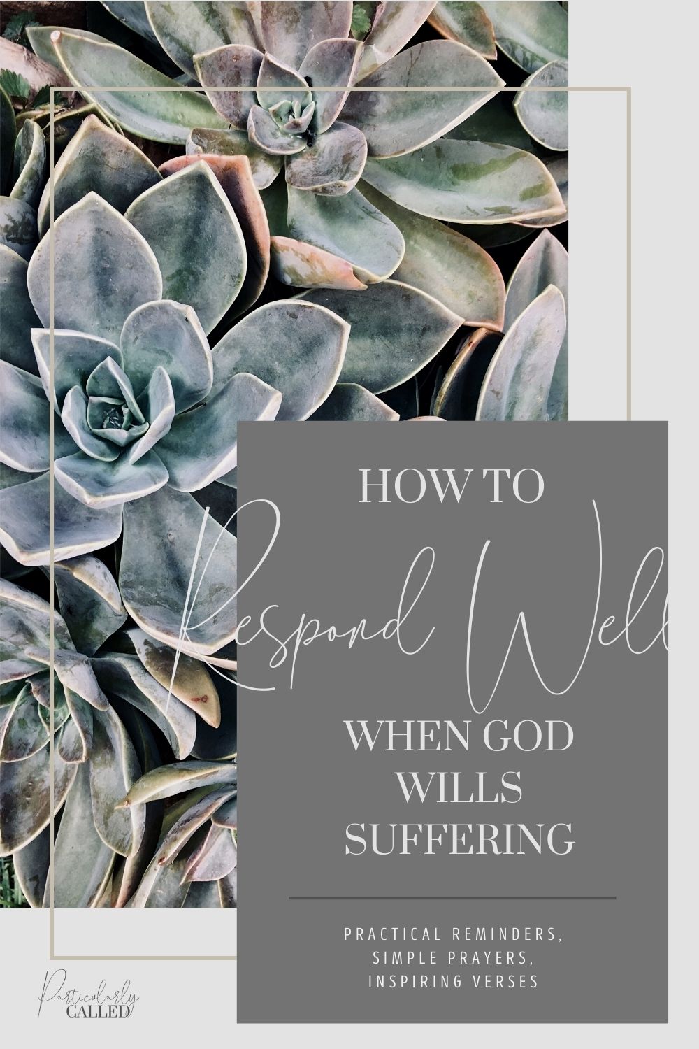How to Respond when God Wills Suffering
