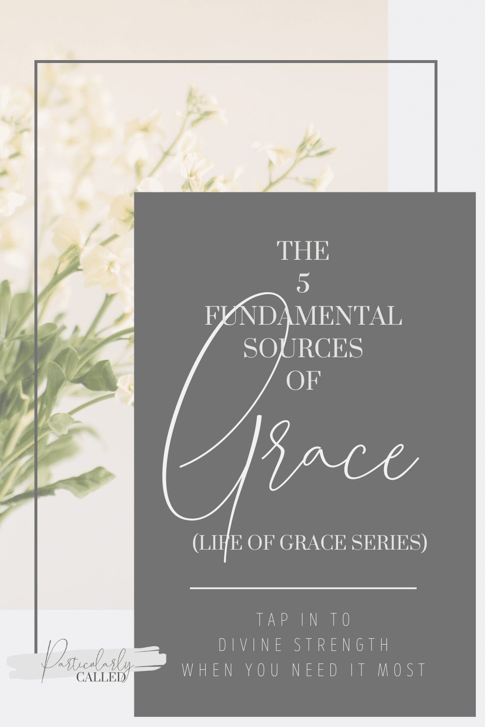 sources of grace - life of grace series, divine strength, gracefilled life