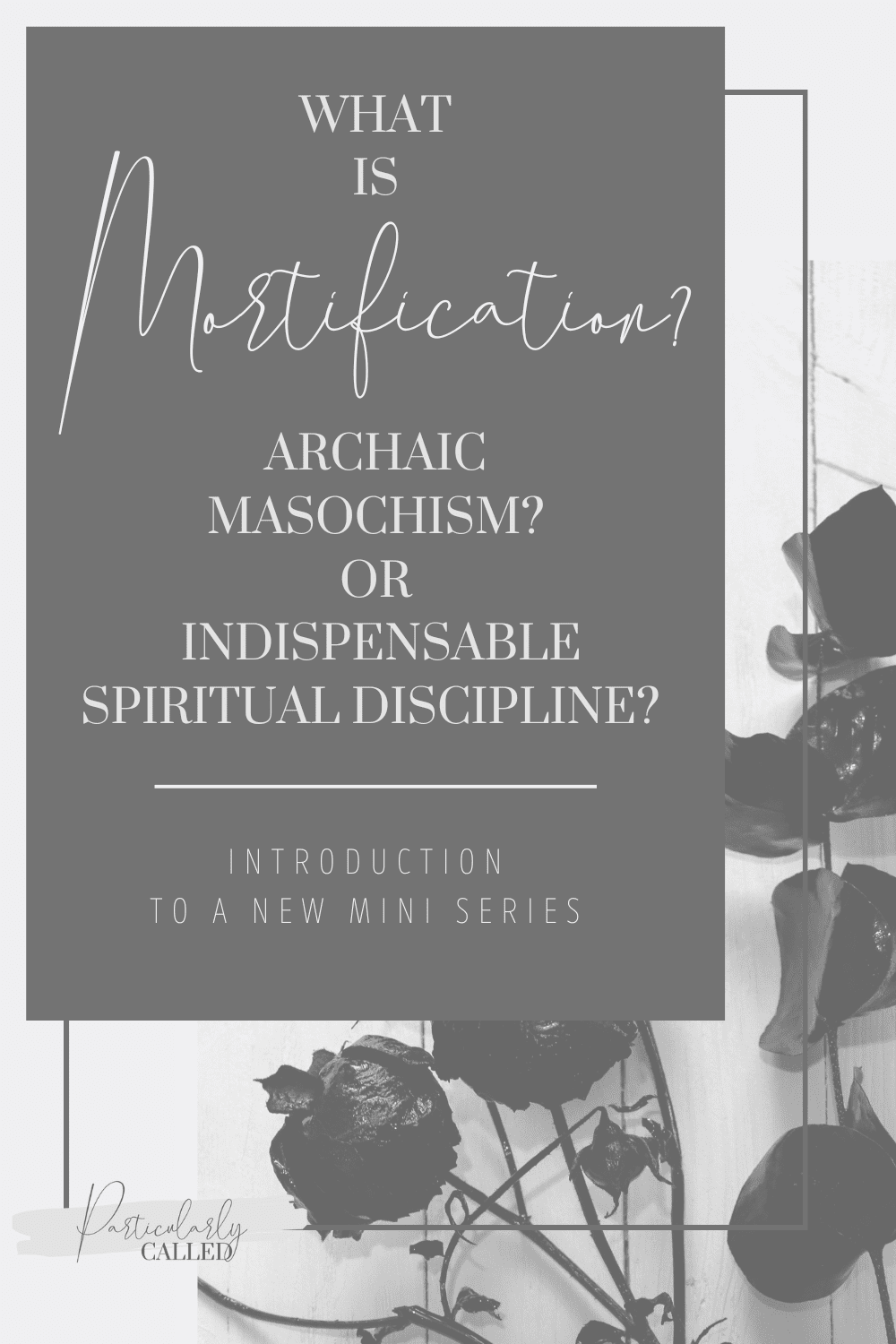 What is Mortification? – Archaic Masochism or Indispensable Spiritual Discipline
