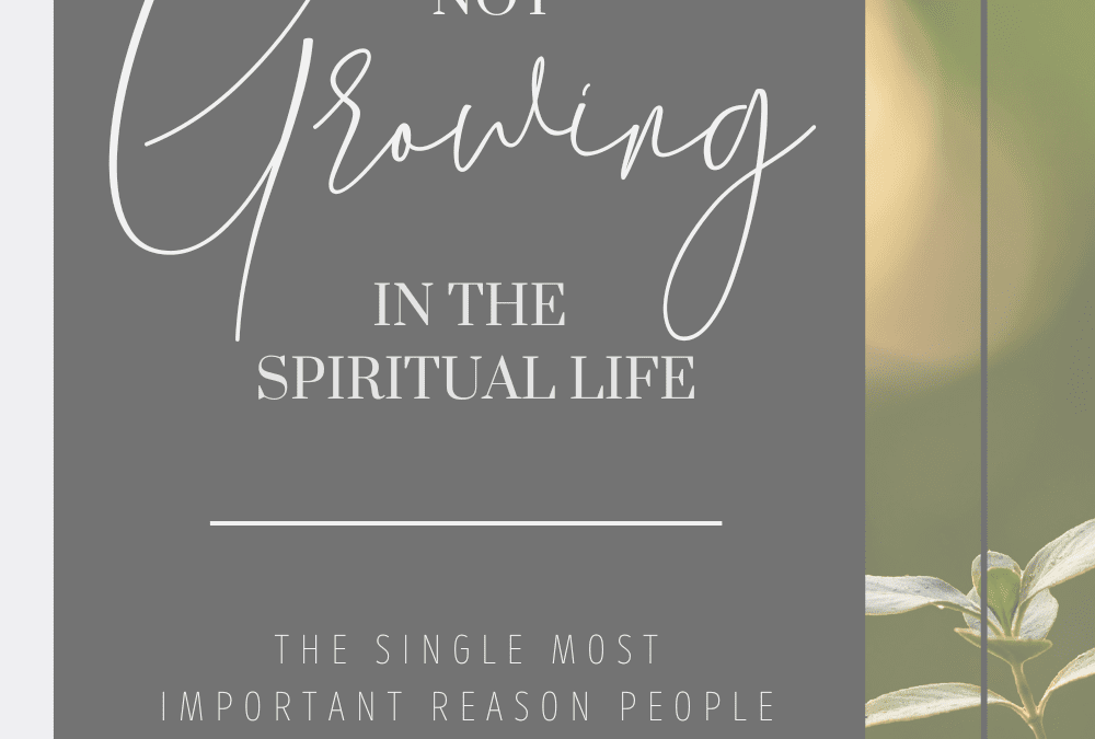 The Actual, Physical Impediment to Growth in the Spiritual Life
